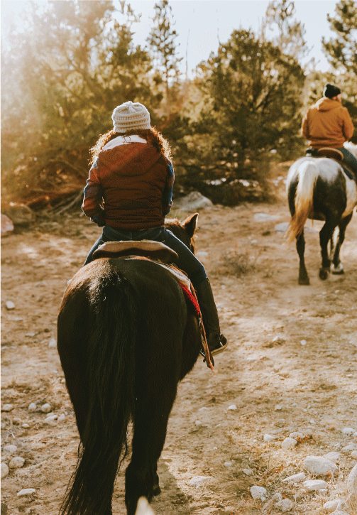 Horseback Riding